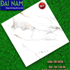 DN-6060-6826 - GẠCH ỐP LÁT BÓNG 60X60 CM