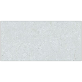 3601B - GẠCH ỐP TƯỜNG BÓNG 30x60CM