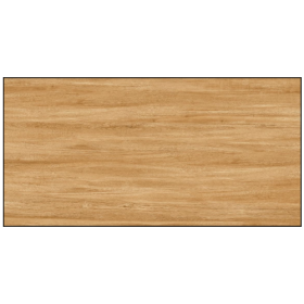 3602F3 - GẠCH ỐP LÁT BÓNG 60X120CM
