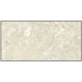 3606A - GẠCH ỐP TƯỜNG BÓNG 30x60CM