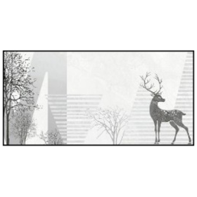3615C1 - GẠCH ỐP TƯỜNG BÓNG 30x60CM