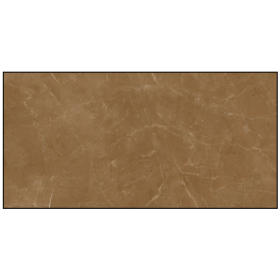  3631F1 - GẠCH ỐP LÁT BÓNG 60X120CM