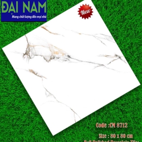 DN-8080-8712 - GẠCH ỐP LÁT BÓNG 80x80 CM