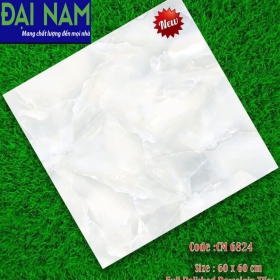DN-6060-6824 - GẠCH ỐP LÁT BÓNG 60x60 CM