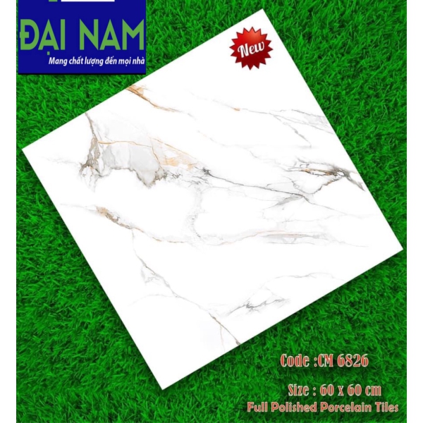 DN-6060-6826 - GẠCH ỐP LÁT BÓNG 60X60 CM