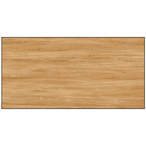 3602F3 - GẠCH ỐP LÁT BÓNG 60X120CM
