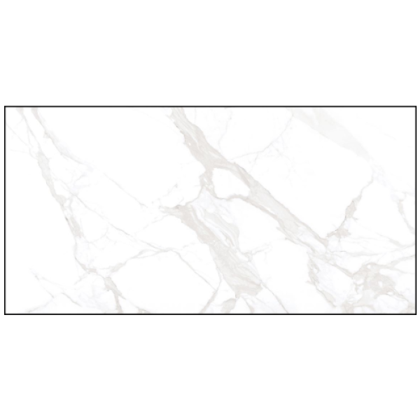 3603F1 - GẠCH ỐP LÁT BÓNG 60X120CM