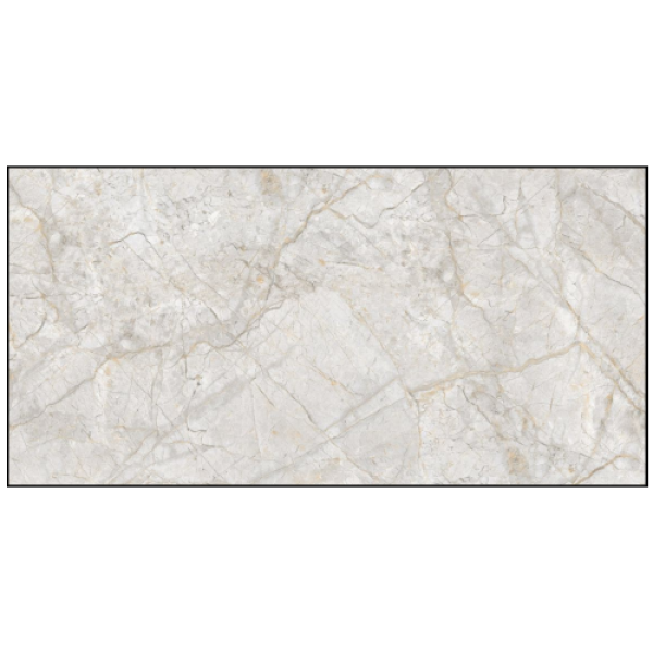 3605F1 - GẠCH ỐP LÁT BÓNG 60X120CM