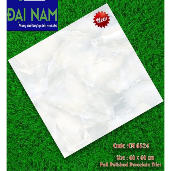 DN-6060-6824 - GẠCH ỐP LÁT BÓNG 60x60 CM