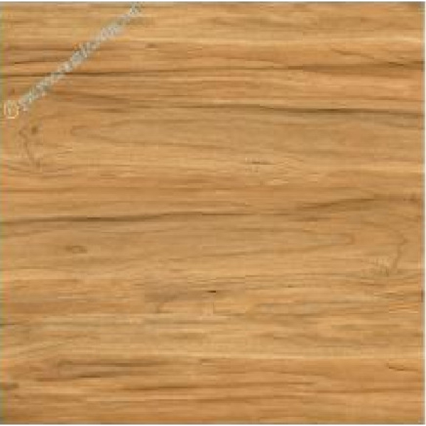 DN66 - GẠCH ỐP LÁT BÓNG 80x80 CM