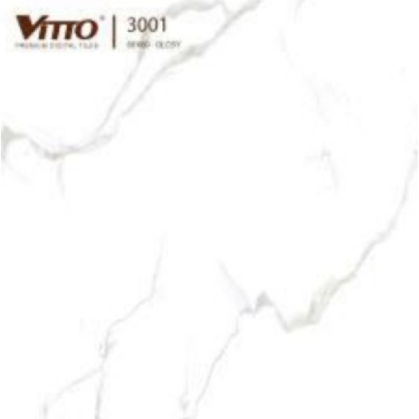 DN166 - GẠCH ỐP LÁT BÓNG 60x60 CM