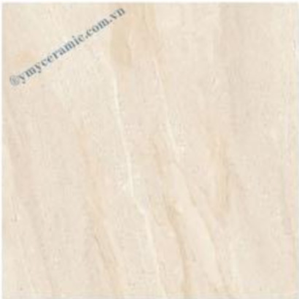 DN176 - GẠCH ỐP LÁT BÓNG 60x60 CM